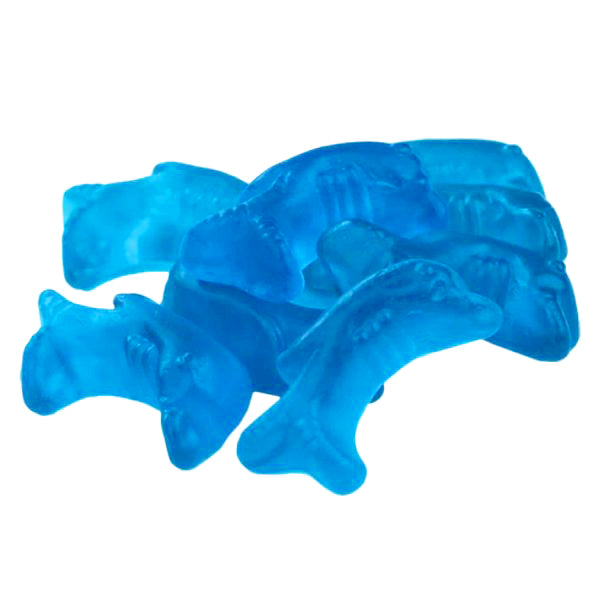 Dolphins