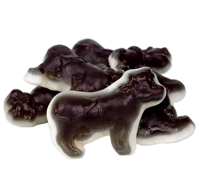 Cows