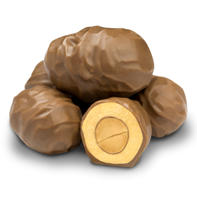 Milk Chocolate Peanut Butter Peanuts