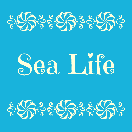 Sealife Gummies
